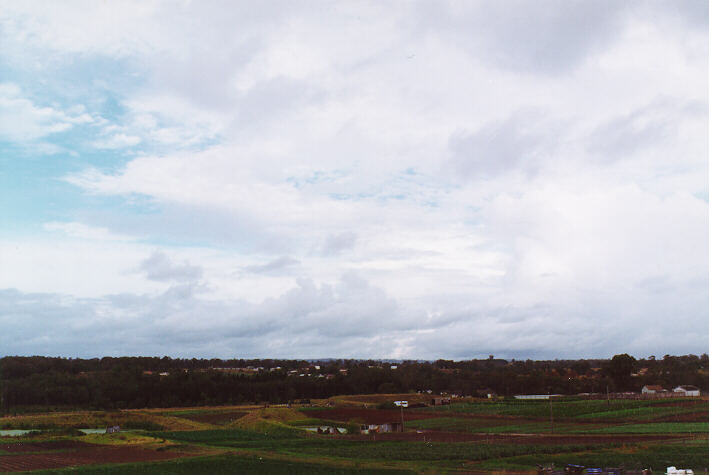 thunderstorm cumulonimbus_calvus : Schofields, NSW   26 January 1997