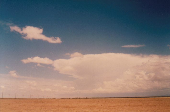 contributions received : Murtoa, VIC<BR>Photo by Paul Yole   27 January 1997