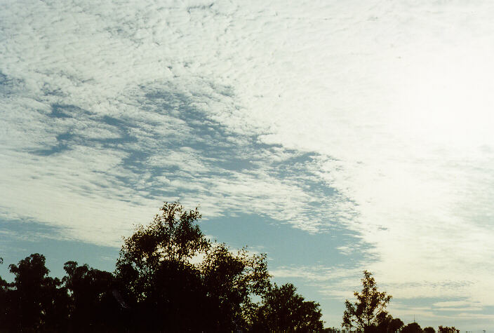 altocumulus mackerel_sky : Oakhurst, NSW   26 February 1997