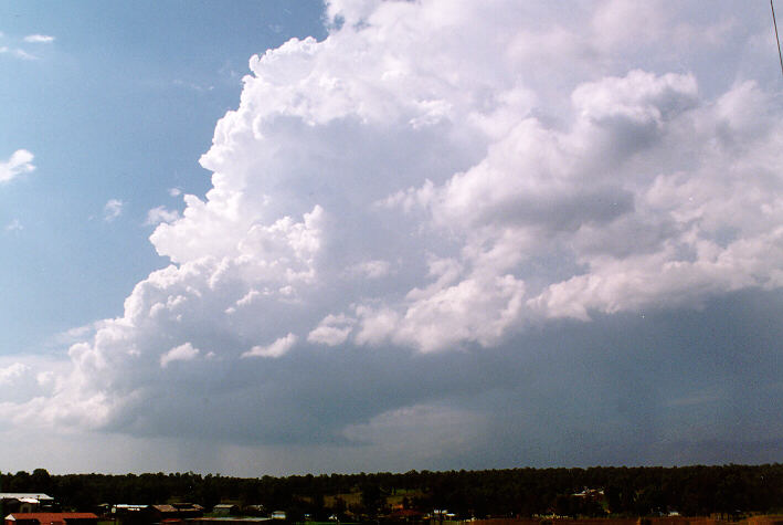 thunderstorm cumulonimbus_calvus : Schofields, NSW   30 March 1997