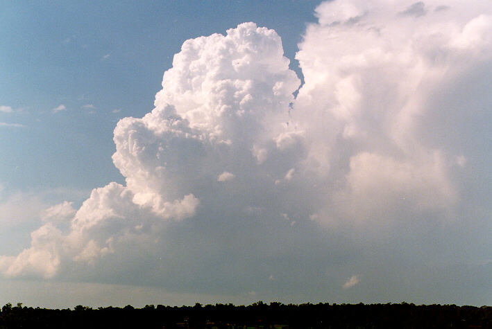 thunderstorm cumulonimbus_calvus : Schofields, NSW   30 March 1997