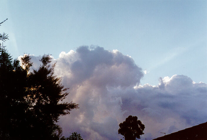 cumulus mediocris : Oakhurst, NSW   14 July 1997