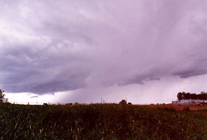 raincascade precipitation_cascade : Schofields, NSW   20 September 1997