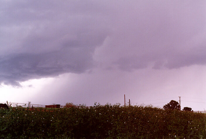 raincascade precipitation_cascade : Schofields, NSW   20 September 1997