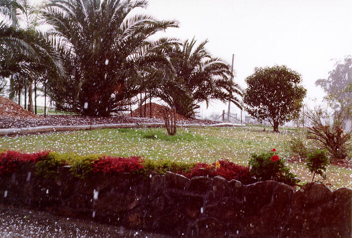 favourites jimmy_deguara : Schofields, NSW   20 September 1997