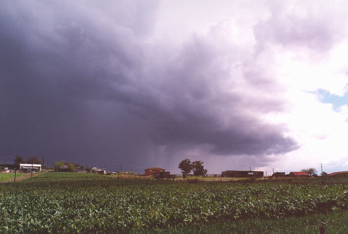 raincascade precipitation_cascade : Schofields, NSW   20 September 1997