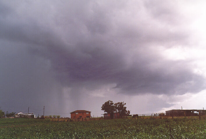 raincascade precipitation_cascade : Schofields, NSW   20 September 1997