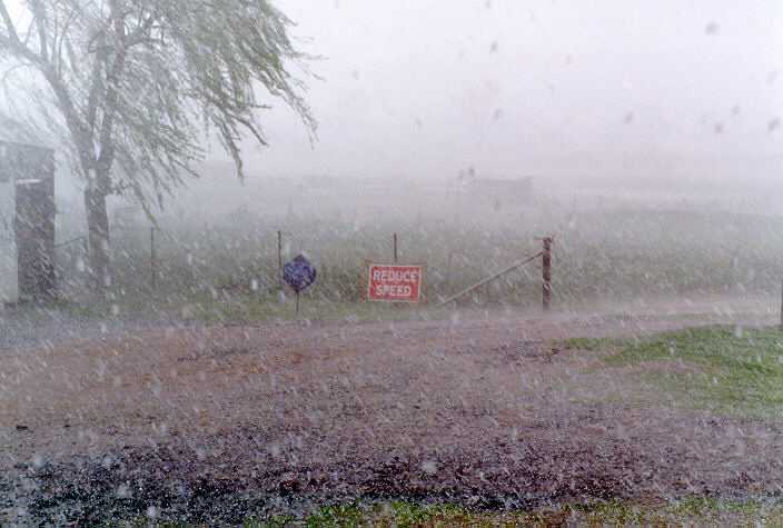 hailstones hail_stones : Schofields, NSW   20 September 1997