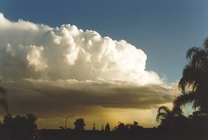 thunderstorm cumulonimbus_calvus : Oakhurst, NSW   26 September 1997