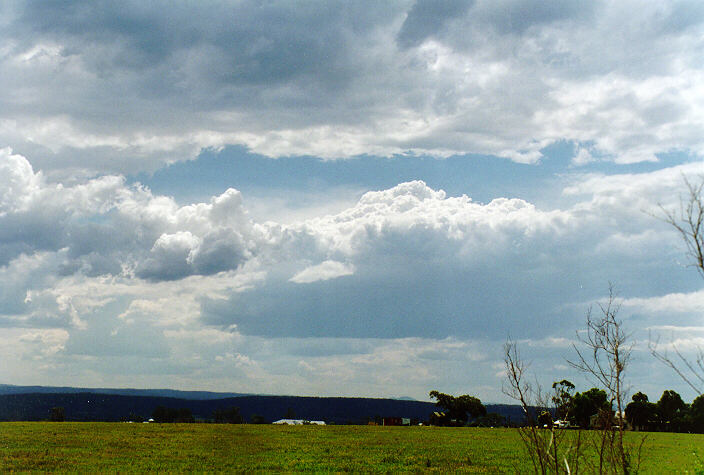 cumulus congestus : Luddenham, NSW   7 November 1997