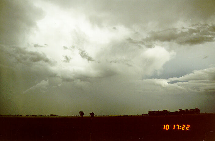 contributions received : Murtoa, VIC<BR>Photo by Paul Yole   10 November 1997