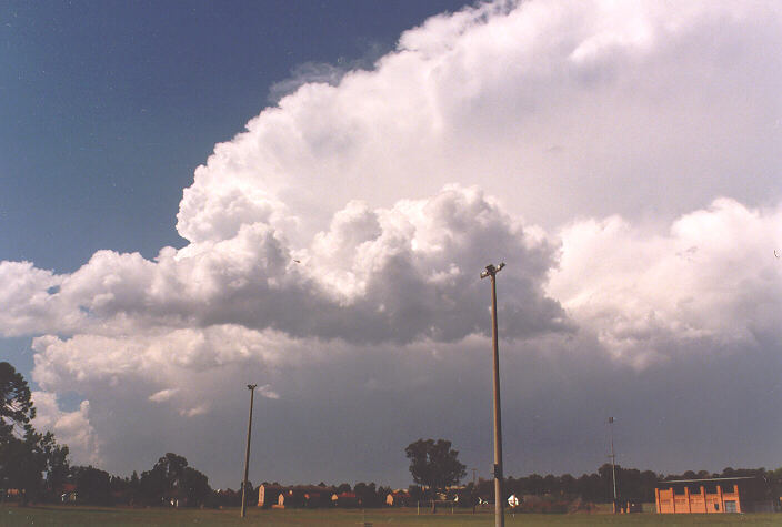 thunderstorm cumulonimbus_incus : St Marys, NSW   12 November 1997