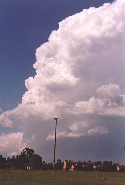 favourites jimmy_deguara : St Marys, NSW   12 November 1997