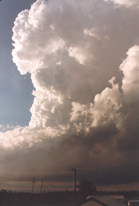 thunderstorm cumulonimbus_calvus : Schofields, NSW   15 November 1997