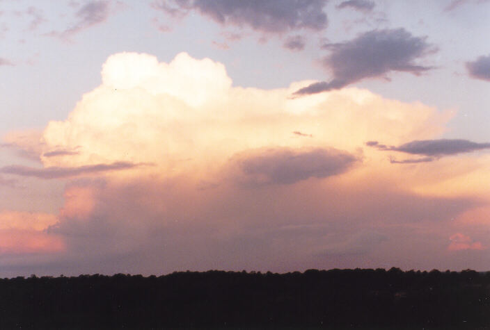 thunderstorm cumulonimbus_calvus : Schofields, NSW   15 November 1997