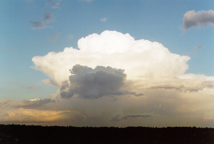 thunderstorm cumulonimbus_calvus : Schofields, NSW   15 November 1997