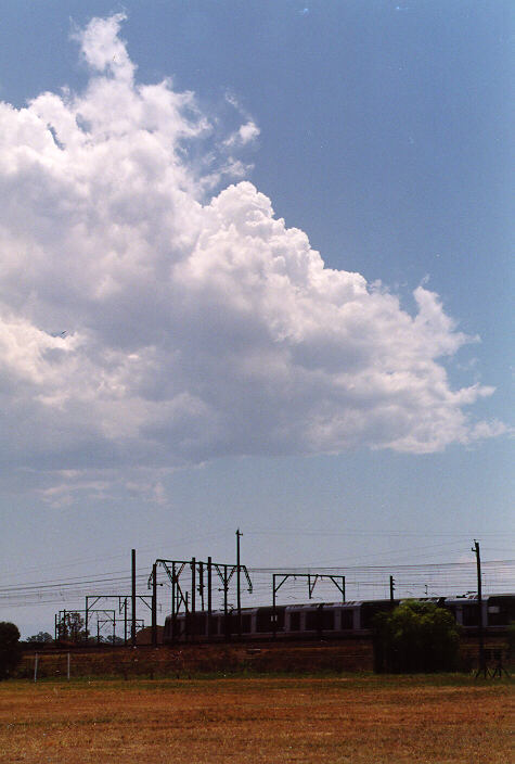 cumulus congestus : St Marys, NSW   26 November 1997