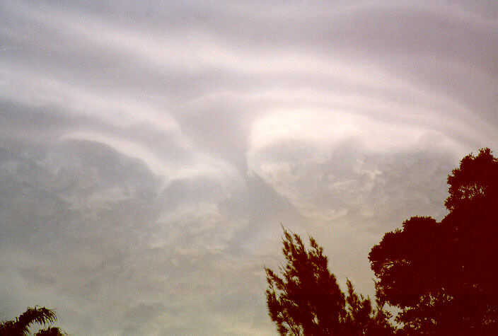 cumulonimbus thunderstorm_base :    28 November 1997