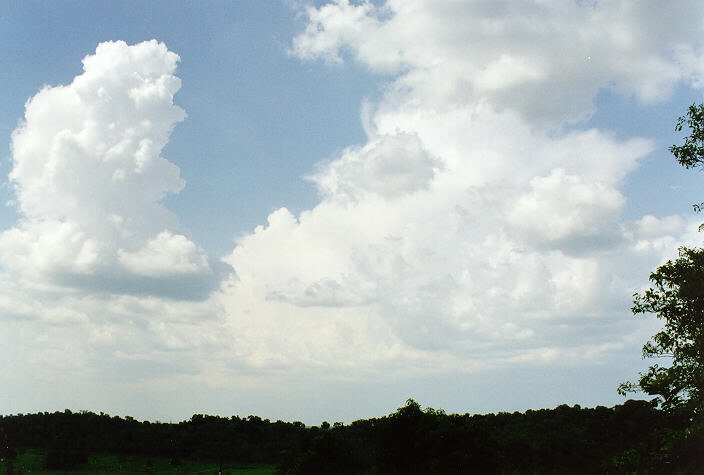 cumulus congestus : near Humpty Doo, NT   2 December 1997