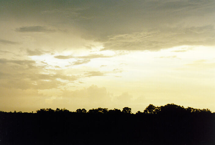 cumulus congestus : Fogg Dam, NT   2 December 1997