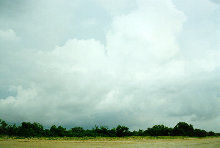 thunderstorm cumulonimbus_calvus : Darwin, NT   3 December 1997