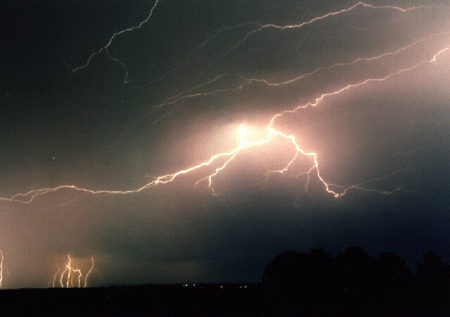 contributions received : near Grafton, NSW<BR>Photo by Steve Baynham   21 December 1997