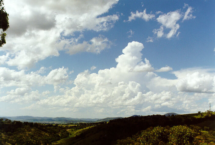 cumulus congestus : Tamworth, NSW   22 December 1997