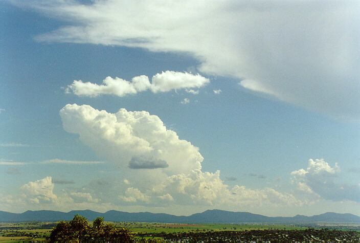 anvil thunderstorm_anvils : Tamworth, NSW   22 December 1997