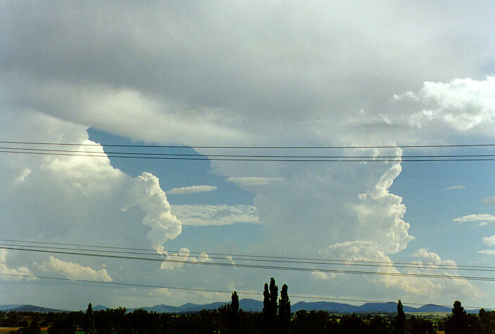 thunderstorm cumulonimbus_incus : Tamworth, NSW   22 December 1997