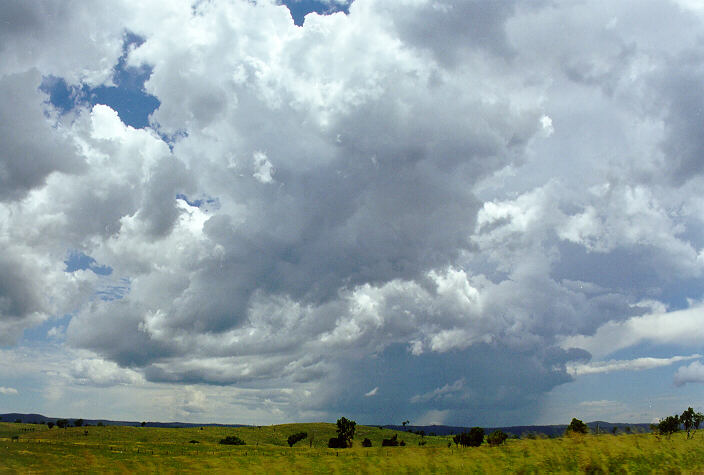 cumulus congestus : near Tenterfield, NSW   23 December 1997