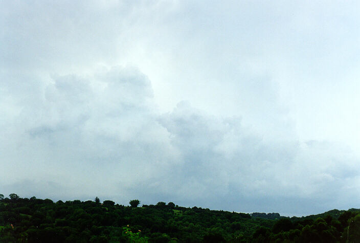 cumulus congestus : Alstonville, NSW   24 December 1997