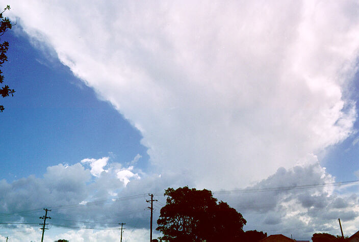 contributions received : Ballina, NSW<BR>Photo by John Bath   1 January 1998