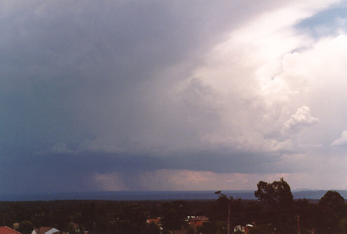 thunderstorm cumulonimbus_incus : Riverstone, NSW   1 January 1998