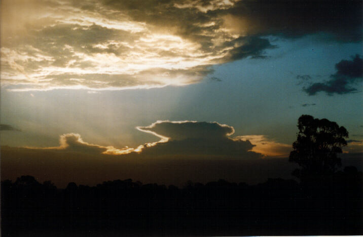 thunderstorm cumulonimbus_incus : Schofields, NSW   4 January 1998