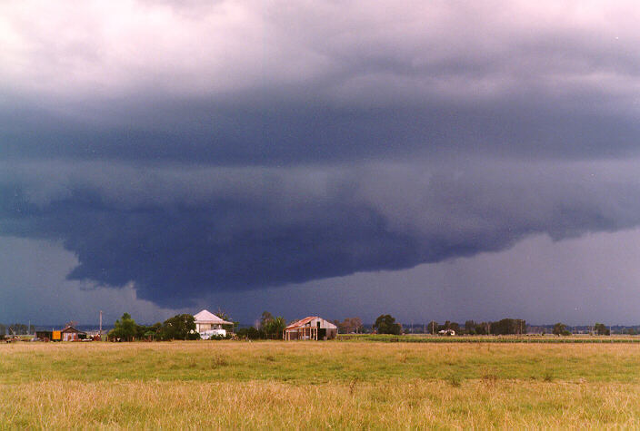 favourites jimmy_deguara : Grafton, NSW   15 January 1998