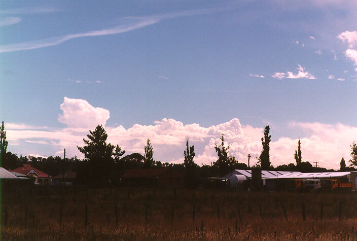 thunderstorm cumulonimbus_calvus : Armidale, NSW   19 January 1998