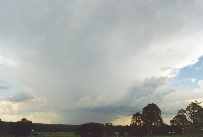 thunderstorm cumulonimbus_incus : Camden, NSW   1 February 1998