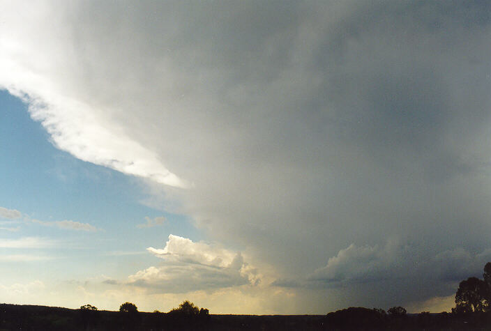 thunderstorm cumulonimbus_incus : Camden, NSW   1 February 1998