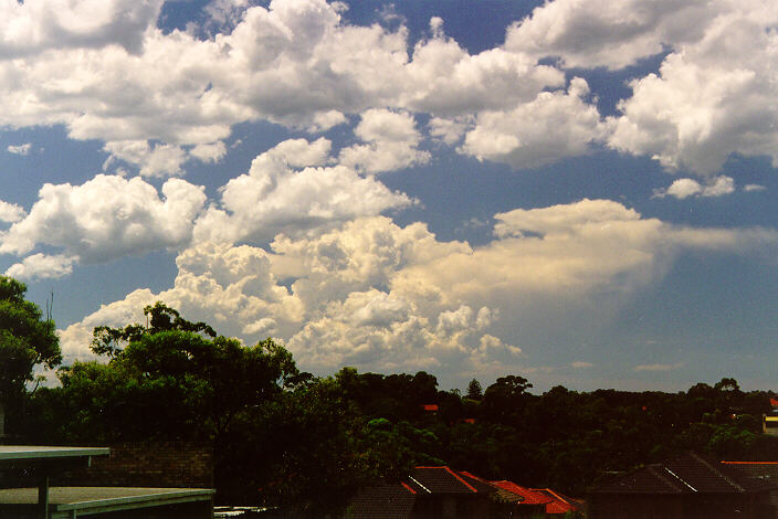 contributions received : North Ryde, NSW<BR>Photo by Paul Graham   12 February 1998