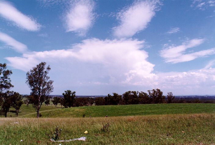 altocumulus altocumulus_cloud : Kemps Creek, NSW   15 February 1998