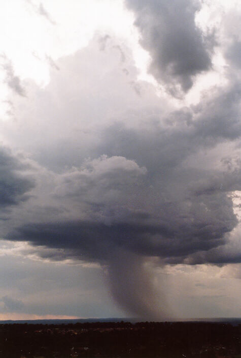 thunderstorm cumulonimbus_calvus : Rooty Hill, NSW   15 February 1998