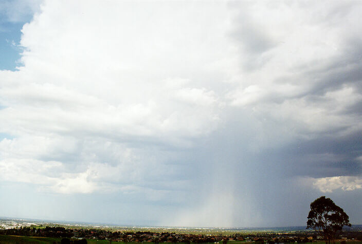 thunderstorm cumulonimbus_incus : Kemps Creek, NSW   15 February 1998