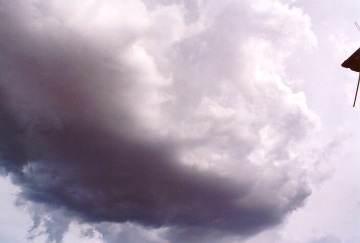 cumulonimbus thunderstorm_base : Schofields, NSW   3 March 1998