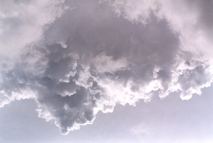 updraft thunderstorm_updrafts : Schofields, NSW   3 March 1998