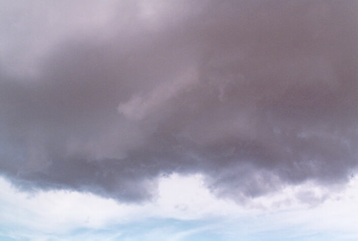 cumulonimbus thunderstorm_base : Schofields, NSW   3 March 1998