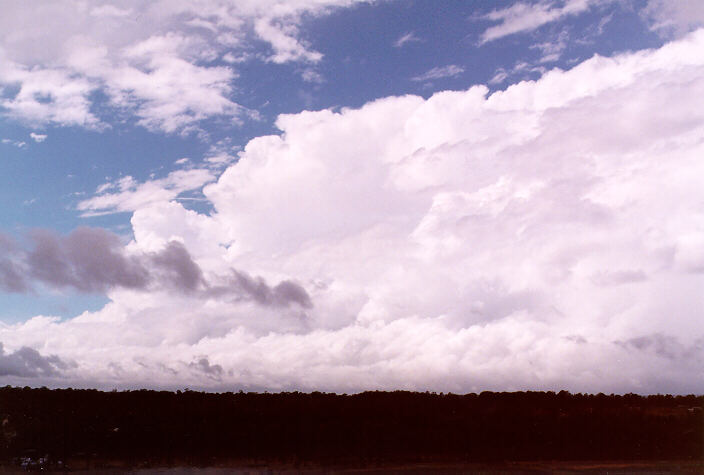 stratus stratus_cloud : Schofields, NSW   10 April 1998