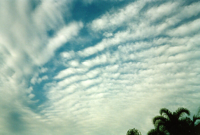 altocumulus mackerel_sky : Oakhurst, NSW   8 May 1998