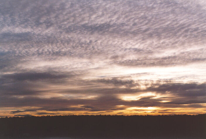 altocumulus undulatus : Schofields, NSW   23 May 1998