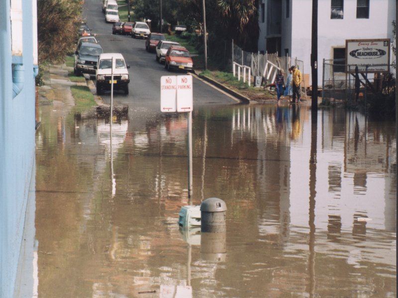 contributions received : Collaroy, NSW<BR>Photo by Paul Davids   1 August 1998