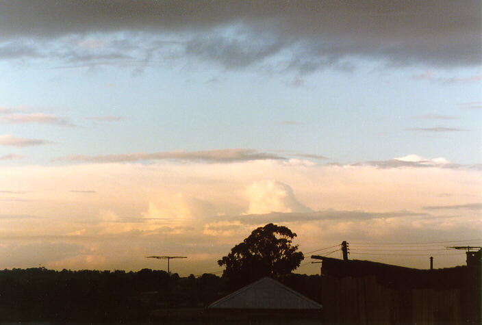 thunderstorm cumulonimbus_calvus : Schofields, NSW   19 August 1998